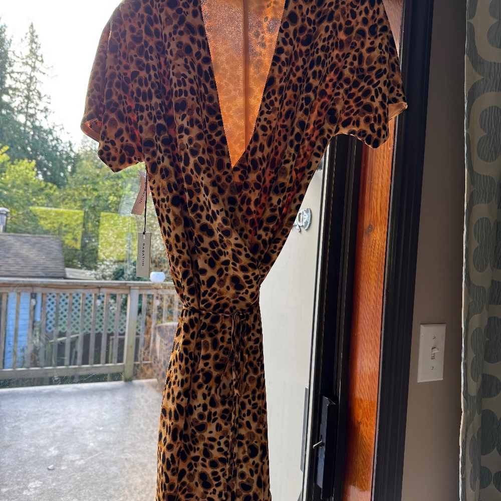 Aritzia dress